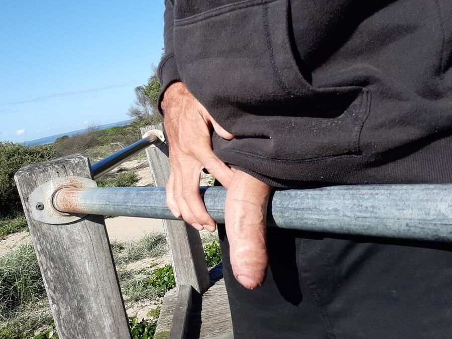 Out and about with my horny cock looking for a hungry mouth