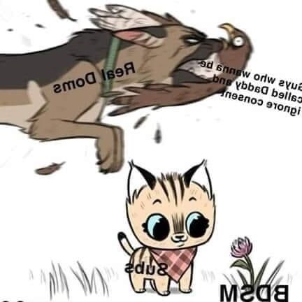 Relatable memes