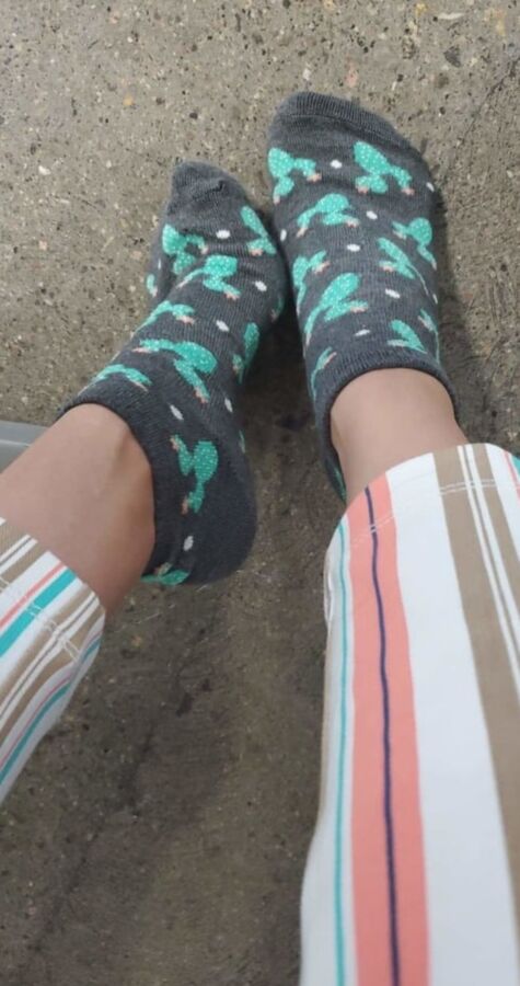 Friends in socks