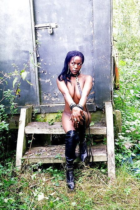 Cookie Brit Ebony