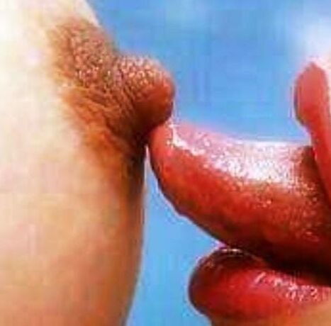 lick your tits