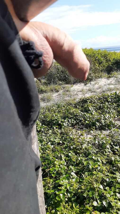 Out and about with my horny cock looking for a hungry mouth