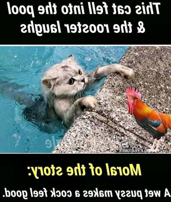 DIRTY PUSSY!!!