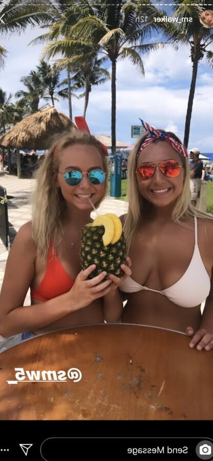Bitches in bikinis