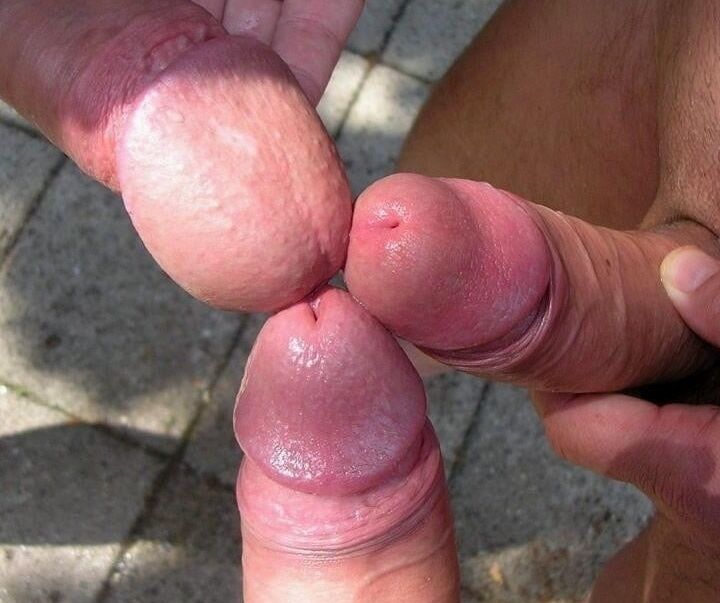 Alot of COCK