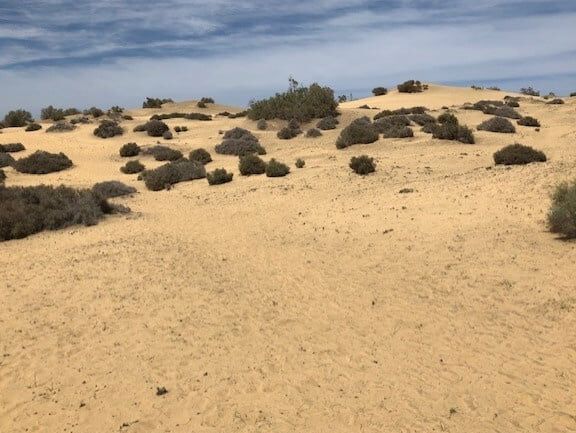 BEACH Gran Canaria Strand
