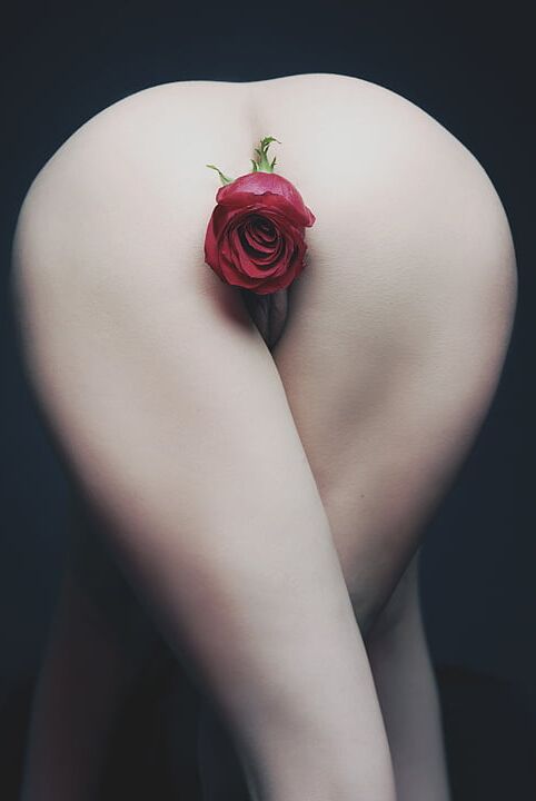 Flowers in Asshole - Insert Flower Ass - Gotte Acan Cicekler