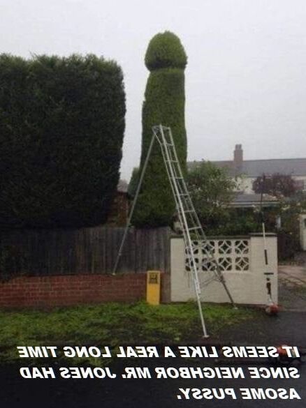 G of H Captions