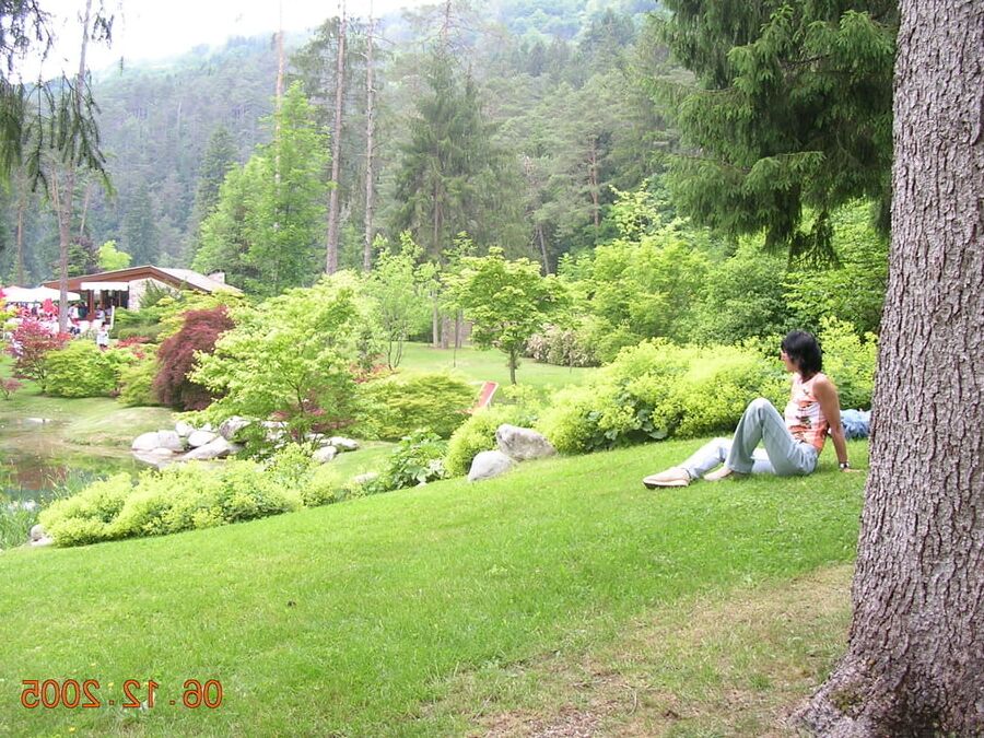 nice wife swinger
