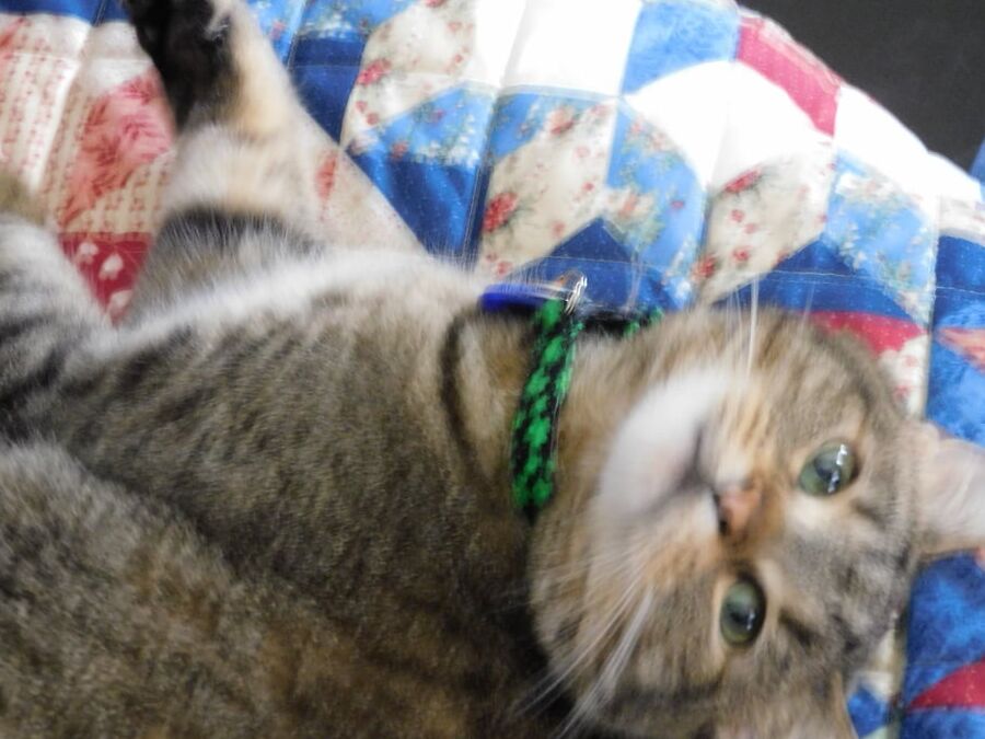 Feb