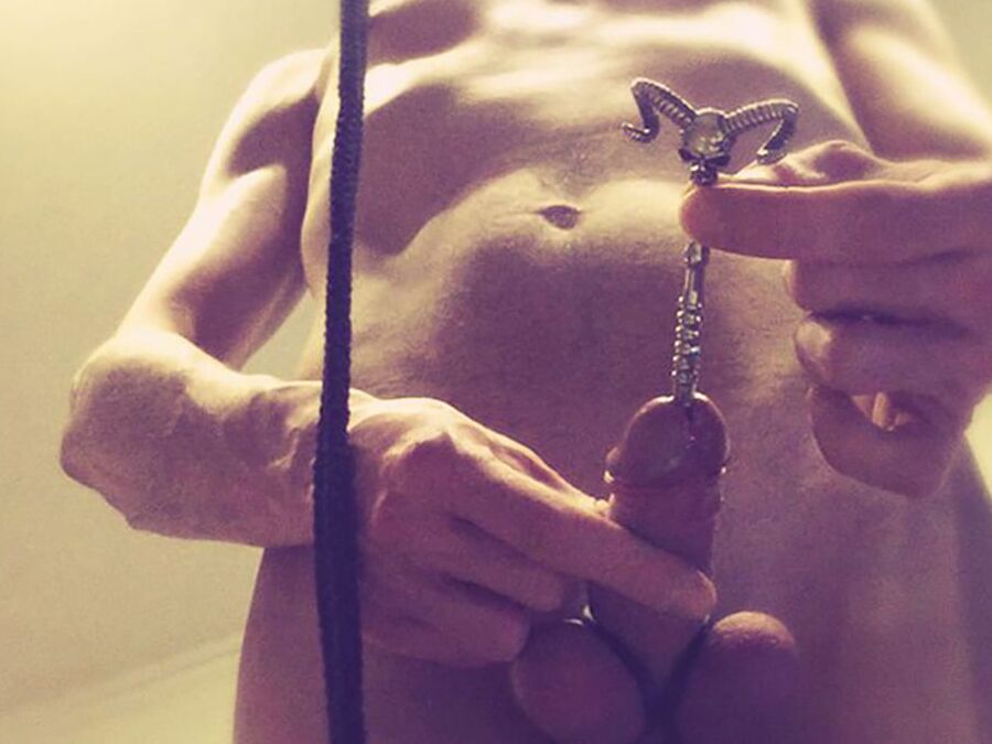 My new Cock-Plug