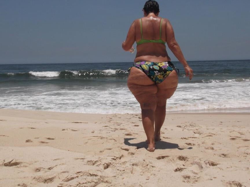 Marranas obesas