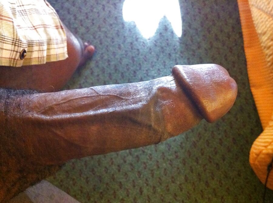 My new Cock-Plug