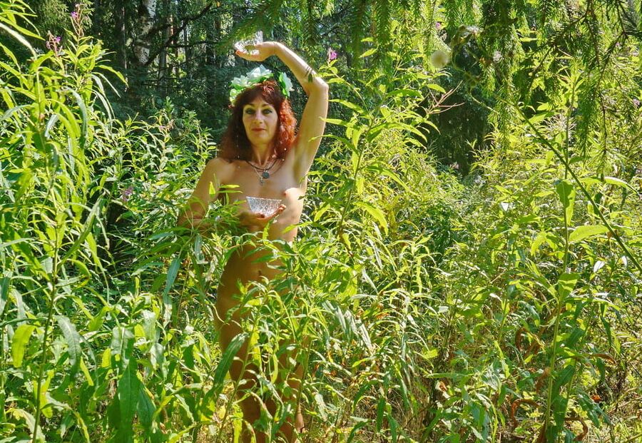 Forest Fairy