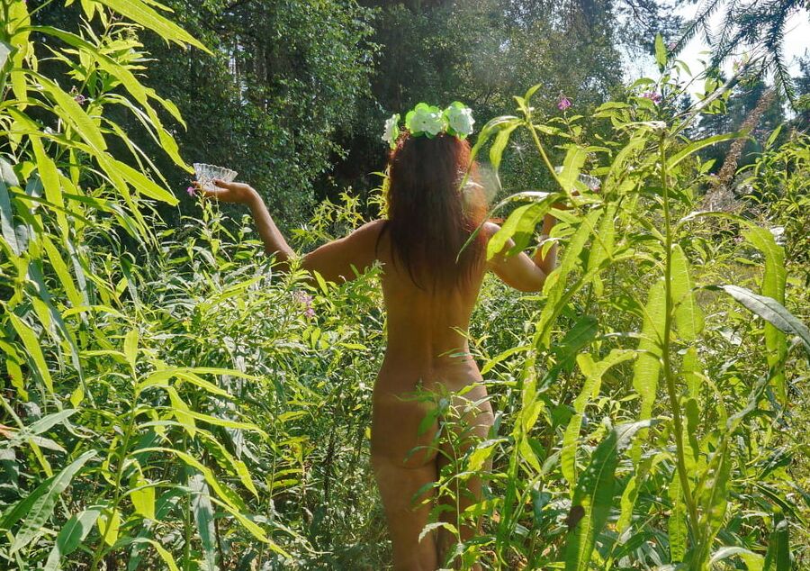 Forest Fairy
