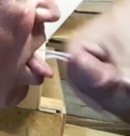 hot chicks, strap ons and cocks.