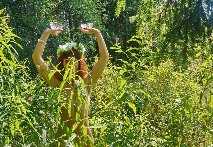 Forest Fairy