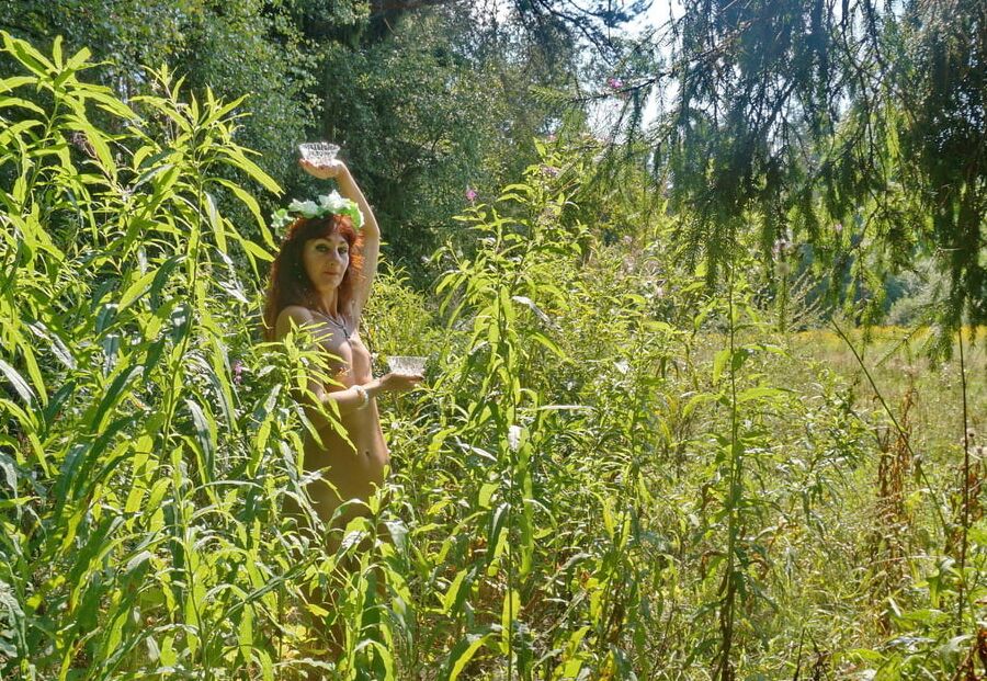 Forest Fairy