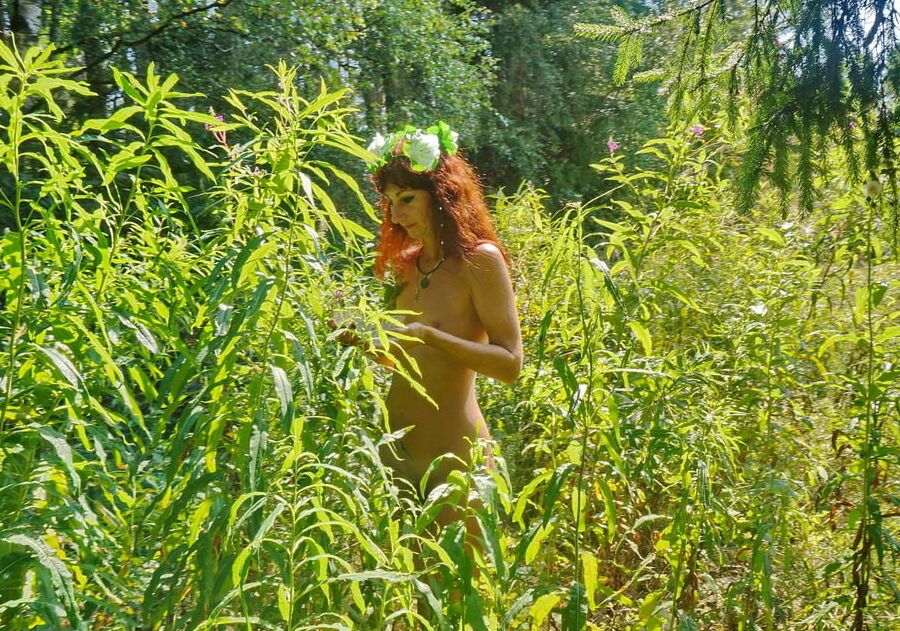 Forest Fairy