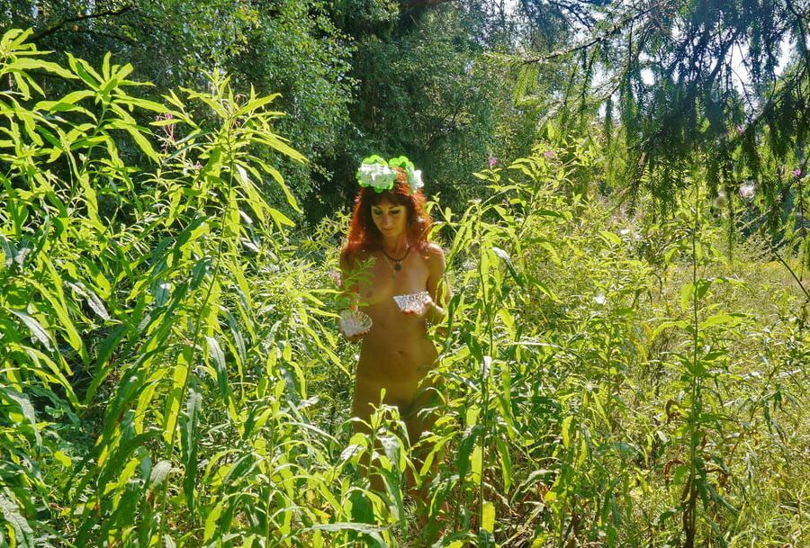 Forest Fairy