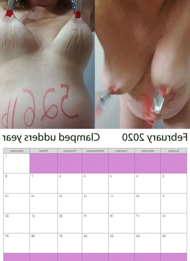 pig calendar