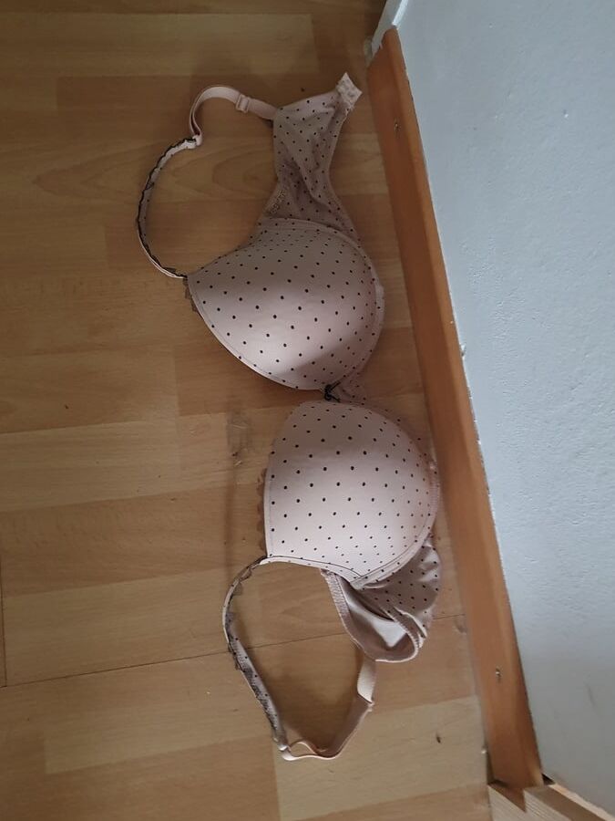 Bildersammlung