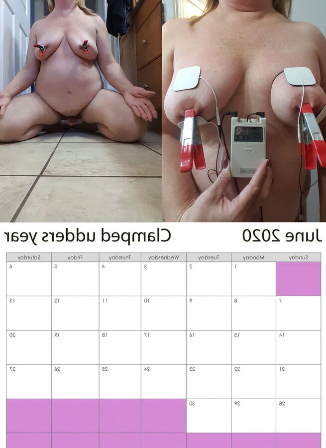pig calendar