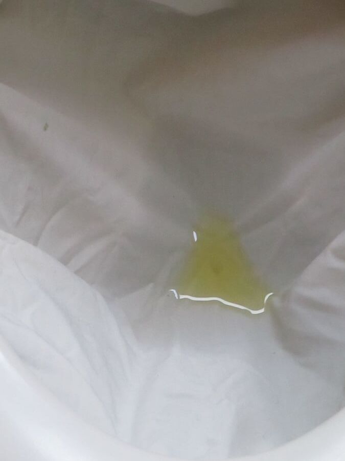white blouse piss