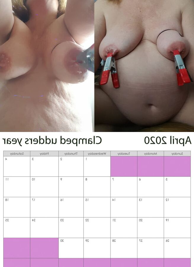 pig calendar