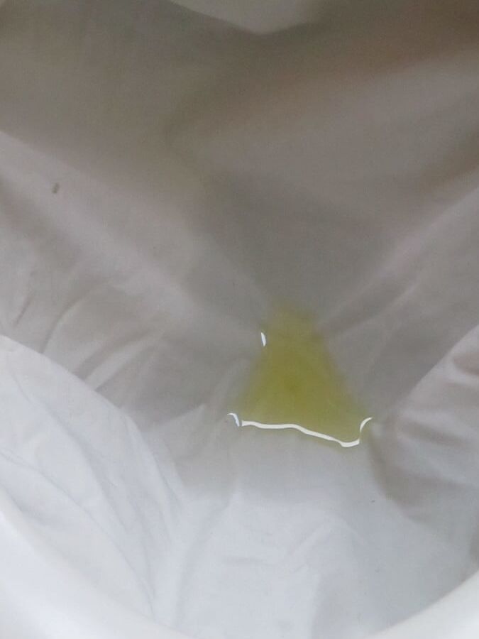 white blouse piss
