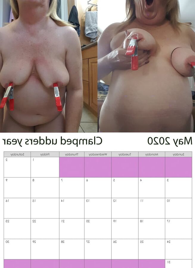 pig calendar