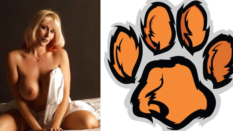 Cougar Collage