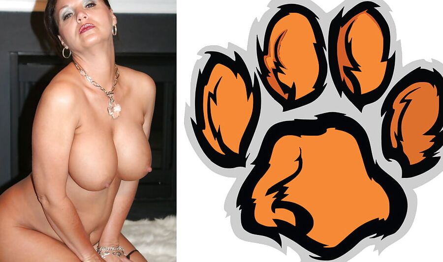 Cougar Collage