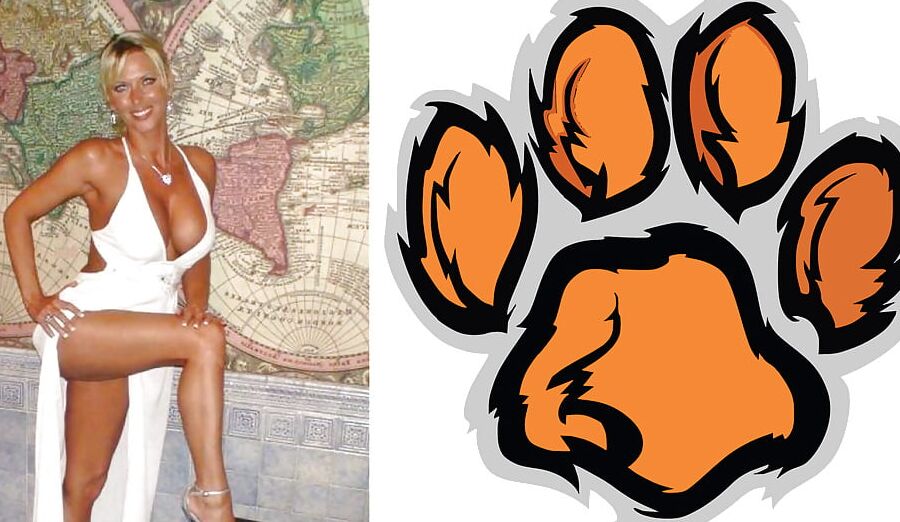 Cougar Collage