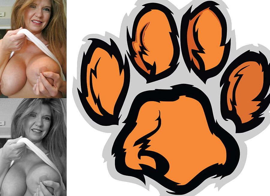 Cougar Collage