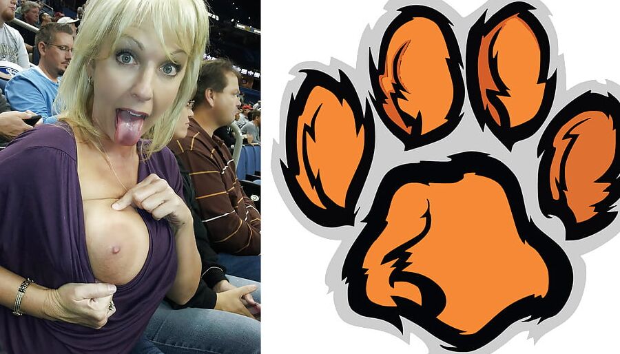 Cougar Collage
