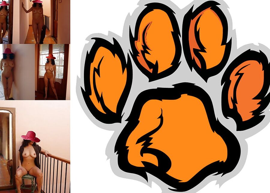 Cougar Collage