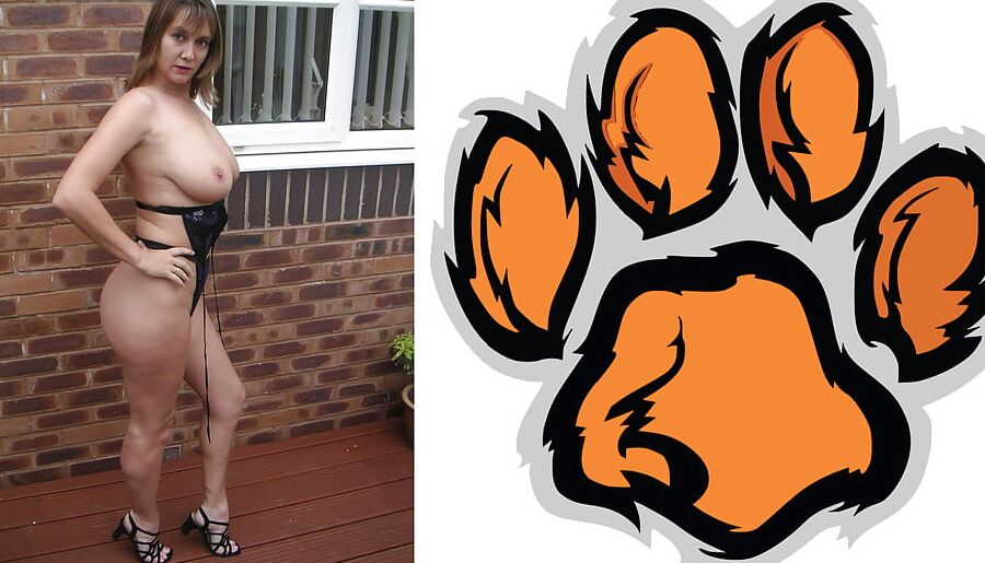 Cougar Collage