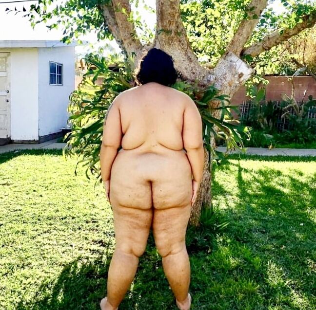 Latina Bbw