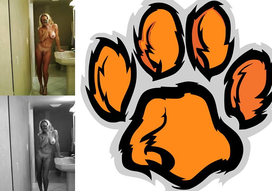 Cougar Collage