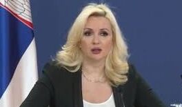 Darija Kisic tepavcevic