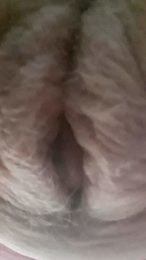 old pussy