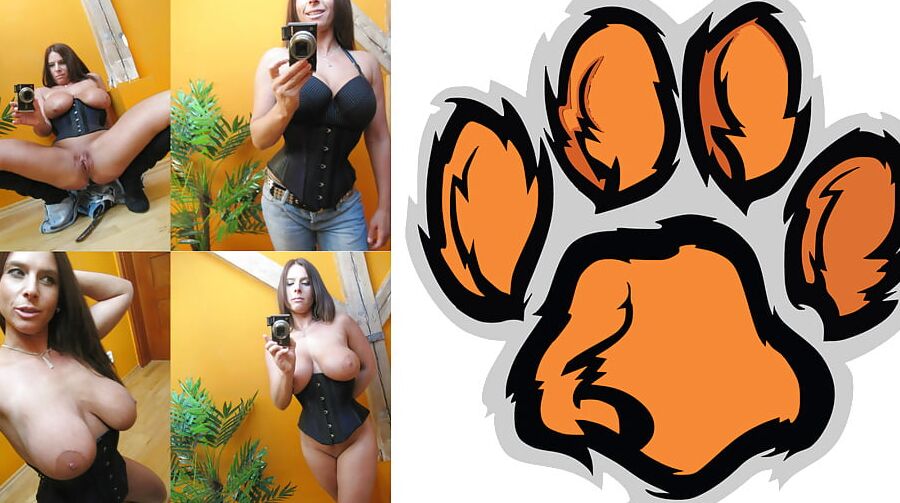 Cougar Collage