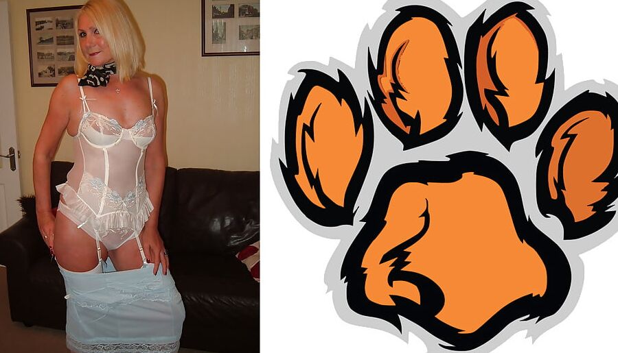 Cougar Collage