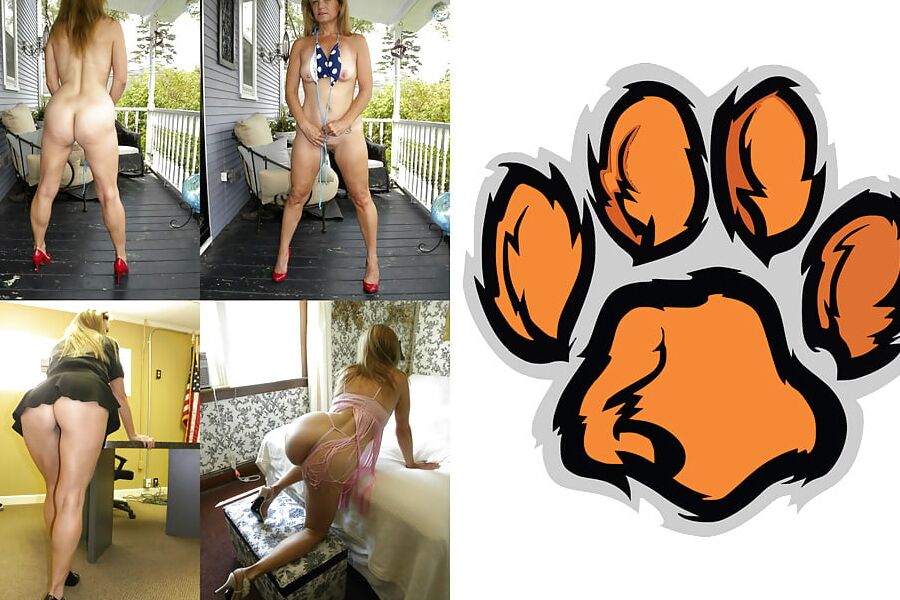 Cougar Collage