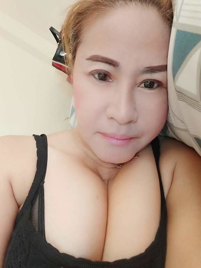 Janda puki besar
