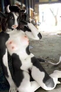 Pets