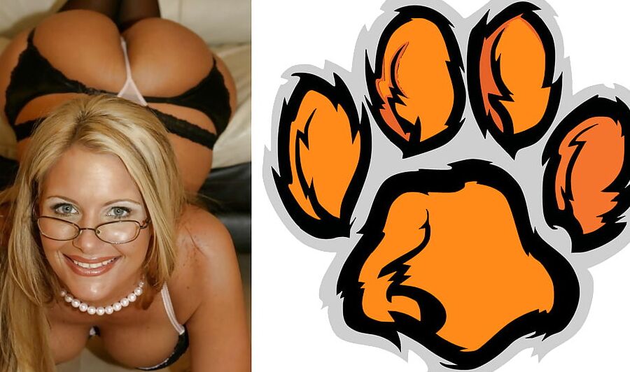Cougar Collage