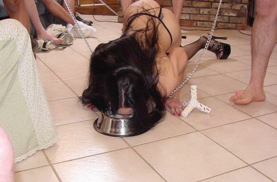 Pets
