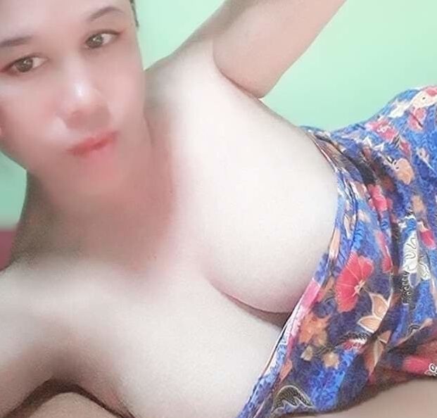 Janda puki besar